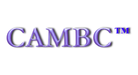 Capital Asset Management Benchmarking Council