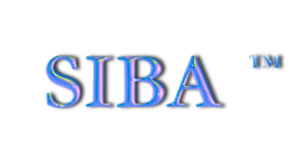 Securities Industry Benchmarking Association
